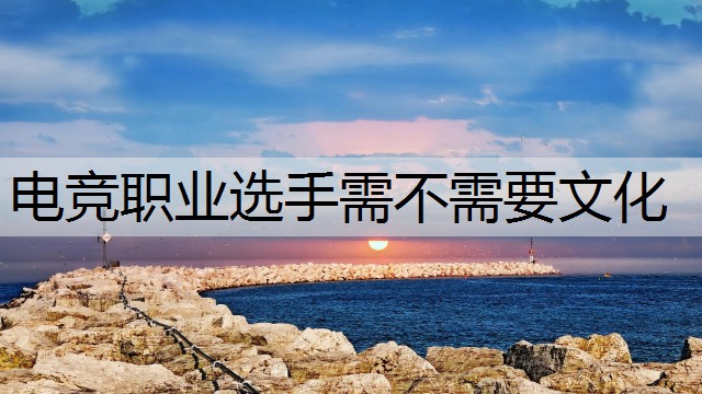 电竞职业选手需不需要文化