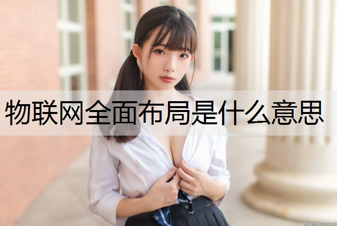 物联网全面布局是什么意思