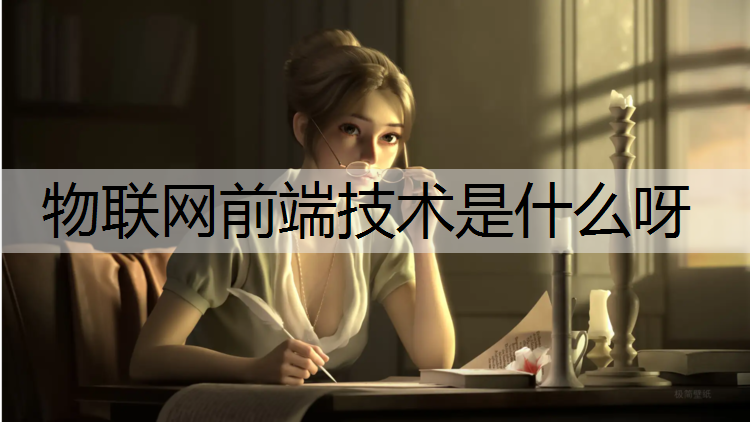 物联网前端技术是什么呀