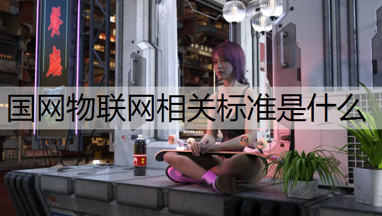 国网物联网相关标准是什么