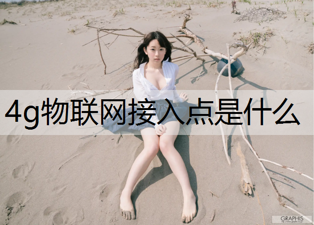 4g物联网接入点是什么