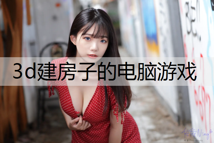 3d建房子的电脑游戏