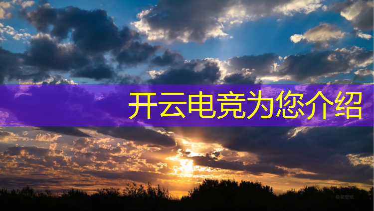 开云电竞为您介绍：王者电竞活动策划方案规则