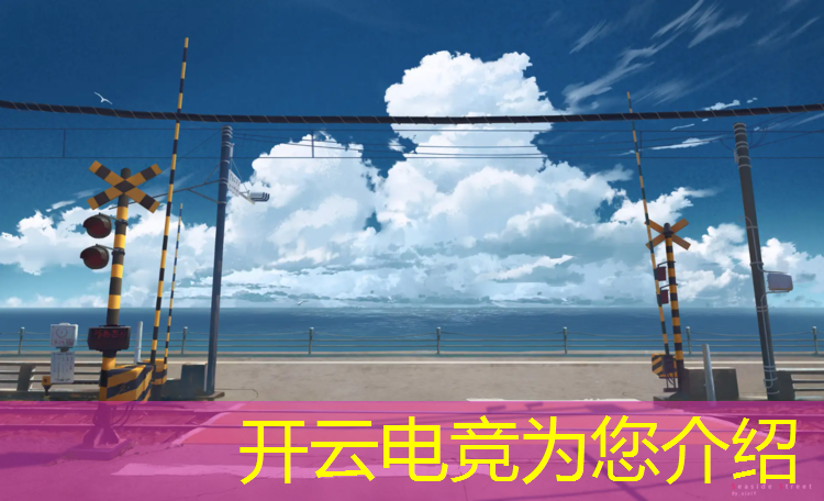 kaiyun·开云电竞为您介绍：荒野乱斗电竞比赛活动