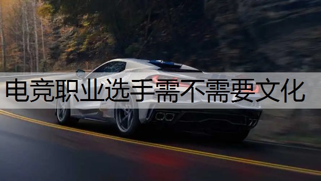 电竞职业选手需不需要文化