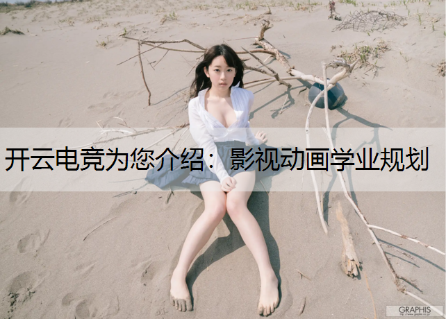 影视动画学业规划