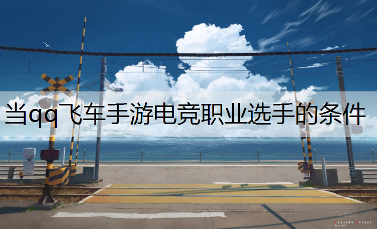 当qq飞车手游电竞职业选手的条件