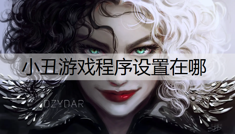 小丑游戏程序设置在哪