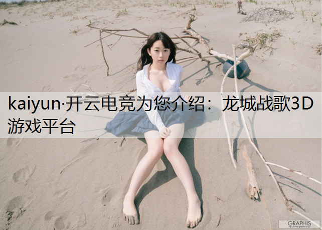 龙城战歌3D游戏平台