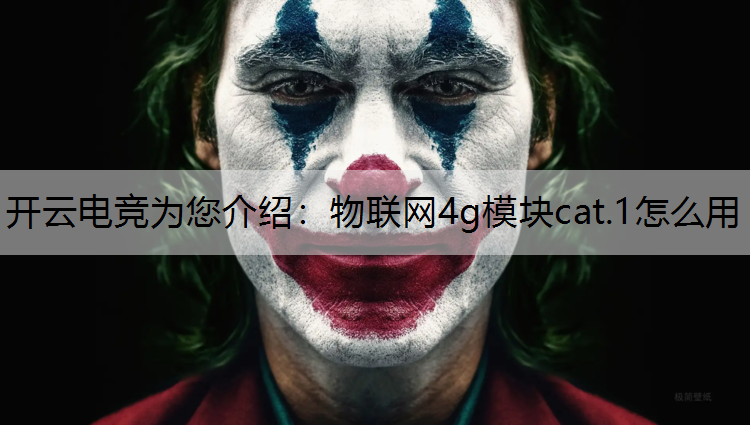 物联网4g模块cat.1怎么用
