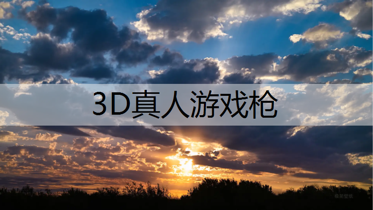 3D真人游戏枪