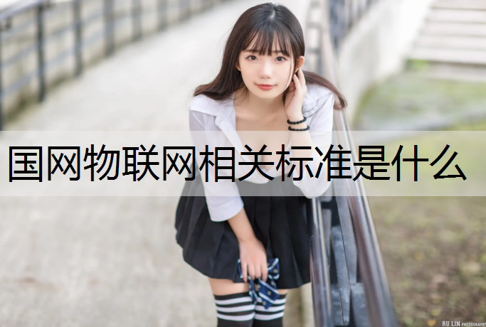国网物联网相关标准是什么