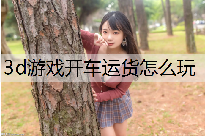3d游戏开车运货怎么玩